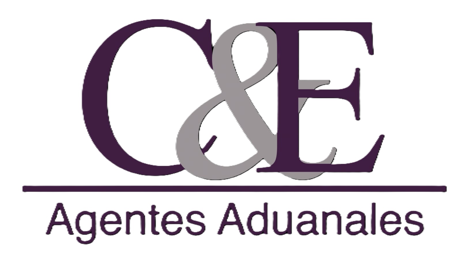 C&E Agencia Aduanal